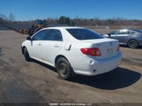 Toyota Corolla Le 2T1BU4EE7AC225810 fotografie