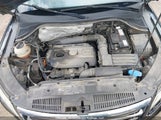 Volkswagen Tiguan Se/Sel WVGBV95N89W515871 photo