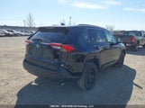 Toyota Rav4 Xle/Xle Premium 2T3R1RFV3NW314286 photo