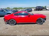 Ford Mustang Ecoboost 1FA6P8TH5K5102833 снимка