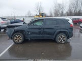 Jeep Cherokee Trailhawk 1C4PJMBS1GW377364 снимка