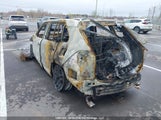 Toyota Rav4 Adventure/Trd Off Road 2T3J1RFV1LW084273 photo