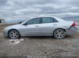 Honda Accord 1HGCM56727A813073 снимка