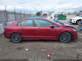 Acura Csx 2HHFD565X8H200841 photo
