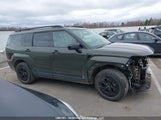 Hyundai Santa Fe Xrt 5NMP3DGL5SH119095 снимка