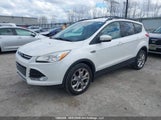 Ford Escape Sel 1FMCU9H98DUB58346 снимка