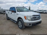 Ford F-150 Xlt 1FTFW1ET7EFA80094 снимка