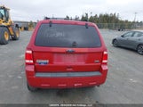 Ford Escape Xlt Automatic 1FMCU9DGXAKC98619 снимка