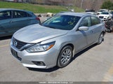 Nissan Altima 1N4AL3AP0HN327950 снимка