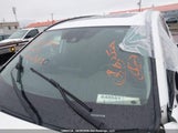 Toyota Rav4 Xle 2T3R1RFV6LC067487 снимка