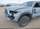Toyota Tacoma Double Cab/Sr/Sr5/Trd Sport/Trd Off Road/Trd Pro 5TFCZ5AN0LX233804 photo