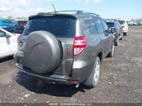 Toyota Rav4 2T3BF4DV2AW031252 fotografie