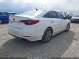 Hyundai Sonata Sport Tech 5NPE34AF1GH279821 снимка