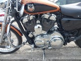 Harley-Davidson Xl1200 C Anniversary 5HD1CT3468K423684 fotografie