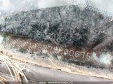 Honda Civic Dx 2HGFA16377H006755 снимка