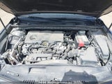 Toyota Camry L/Le/Xle/Se/Xse 4T1B11HK7KU759768 photo