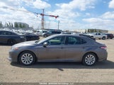 Toyota Camry L/Le/Xle/Se/Xse 4T1B11HK7KU759768 photo