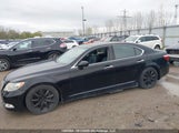 Lexus Ls 460 JTHCL46F895000656 photo