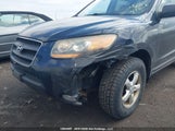 Hyundai Santa Fe 5NMSG13E69H289898 снимка