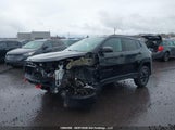 Jeep Compass Trailhawk 3C4NJDDB9MT583568 fotografie