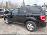 Ford Escape Xlt 1FMCU0D79AKC98400 снимка