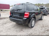 Ford Escape Xlt 1FMCU0D79AKC98400 fotografie