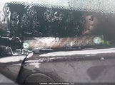 Honda Civic Lx 2HGFA16506H035093 снимка