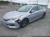 Honda Accord Lx 1HGCR2F37HA805713 снимка