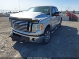 Ford F-150 Fx4/Harley-Davidson/Lariat/Xlt 1FTFW1EV2AFB19525 снимка