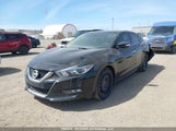 Nissan Maxima 3.5S/Sv/Sl/Sr/Plat 1N4AA6AP5JC373881 fotografie