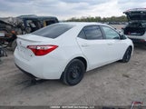 Toyota Corolla L/Le/Le Pls/Prm/S/S Pls 2T1BURHE1FC257524 fotografie