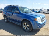 Ford Escape Xlt Automatic 1FMCU9DG0AKC86169 fotografie