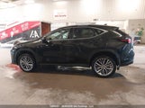 Lexus Nx 350 2T2GGCEZ0SC069181 снимка