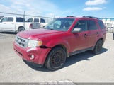 Ford Escape Xlt Automatic 1FMCU93G49KB91773 снимка
