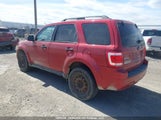 Ford Escape Xlt Automatic 1FMCU93G49KB91773 снимка