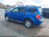 Ford Escape Xlt 1FMCU9DG2BKB05493 fotografie