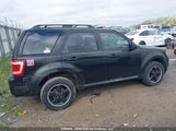 Ford Escape Xlt 1FMCU03G59KD09275 снимка