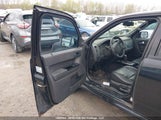 Ford Escape Xlt 1FMCU03G59KD09275 снимка