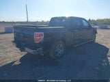 Ford F-150 Xlt 1FTFW1EF9CFC65352 снимка