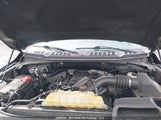 Ford F-150 Xlt 1FTEW1E59KFD04216 снимка