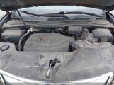 Acura Mdx 5FRYD4H45GB508674 снимка