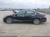 Honda Accord Exl 1HGCP3F84CA800596 снимка