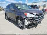 Honda Cr-V Exl 5J6RE4H73AL813053 photo