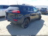 Jeep Cherokee Trailhawk 1C4PJMBS1GW378465 снимка
