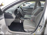 Toyota Corolla S/Le 2T1BU4EE2DC042352 снимка