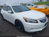 Honda Accord Exl 1HGCP3F87BA800767 снимка
