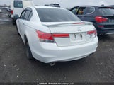 Honda Accord Exl 1HGCP3F87BA800767 снимка