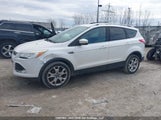 Ford Escape Titanium 1FMCU0J98EUA71943 fotografie