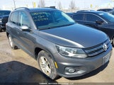Volkswagen Tiguan Comfortline/Highline/Trendline WVGJV3AX9EW513783 photo