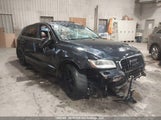 Audi Q5 3.0T Premium/3.0T Premium Plus WA1MGCFP8DA042431 fotografie